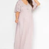LUXE Curve Pink Floral Hand Embellished Maxi Dress