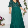 LUXE Curve Forest Green Sequin Hand Embellished Maxi Dress