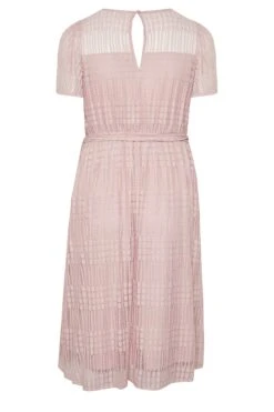 YOURS LONDON Curve Light Pink Lace Skater Dress 11 YOURS LONDON Curve Light Pink Lace Skater Dress -Saga Dresses Shop 8c1363c2 fce6 44 161999 Y