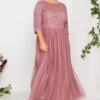 LUXE Curve Dark Pink Sequin Hand Embellished Maxi Dress